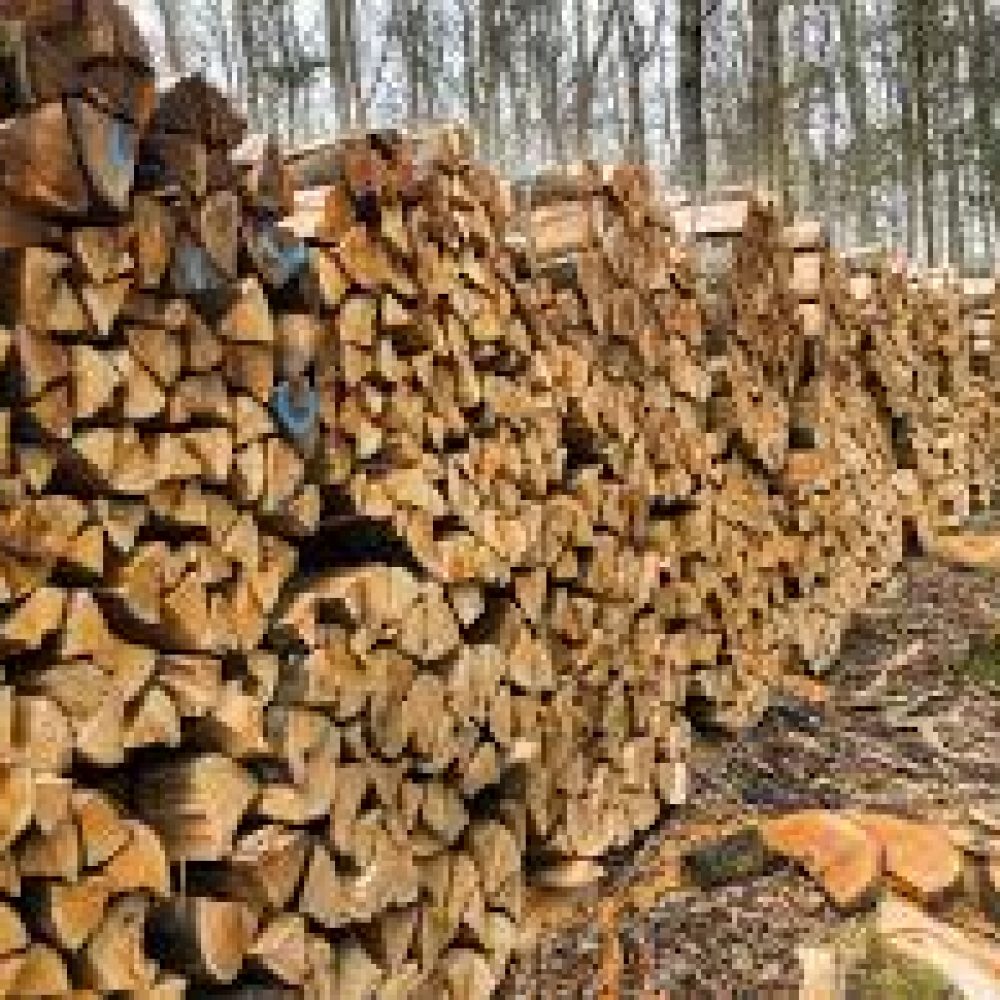 Firewood Pile Winchester Virginia