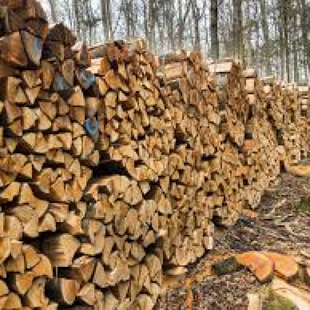 Firewood Pile Winchester Virginia Firewood Pile Winchester Virginia