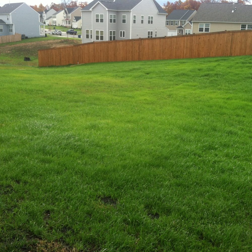 Lawn Aeration In Winchester VA