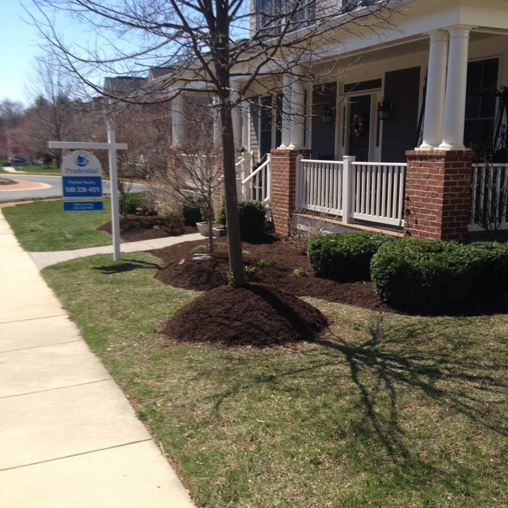 Lawn Moved in Winchester VA