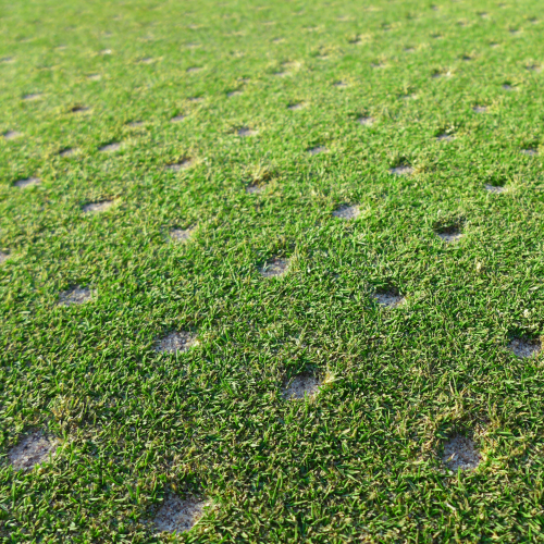 Lawn aerating and seeding services by Williams Property Management in Winchester, VA, ensuring healthy grass growth (1)