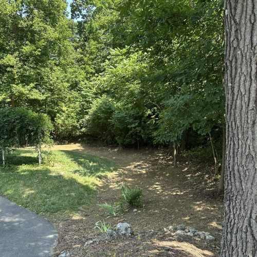 Tree trimming and removal services provided by Williams Property Management in Winchester, VA for safe and healthy trees. Tree trimming and removal services provided by Williams Property Management in Winchester, VA for safe and healthy trees.